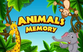 Animals Memory