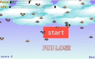 Birds Flying