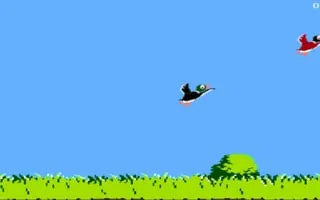 Duckhunt